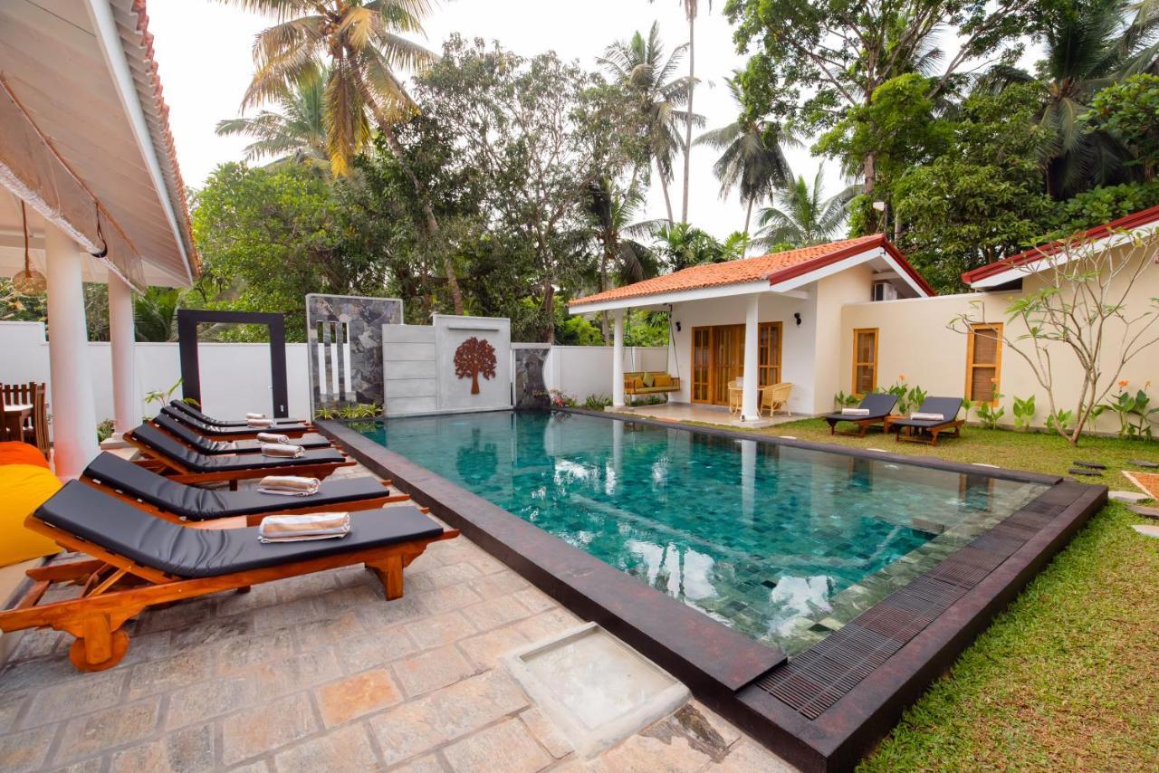 Tree Of Life Resort Bentota Exteriör bild