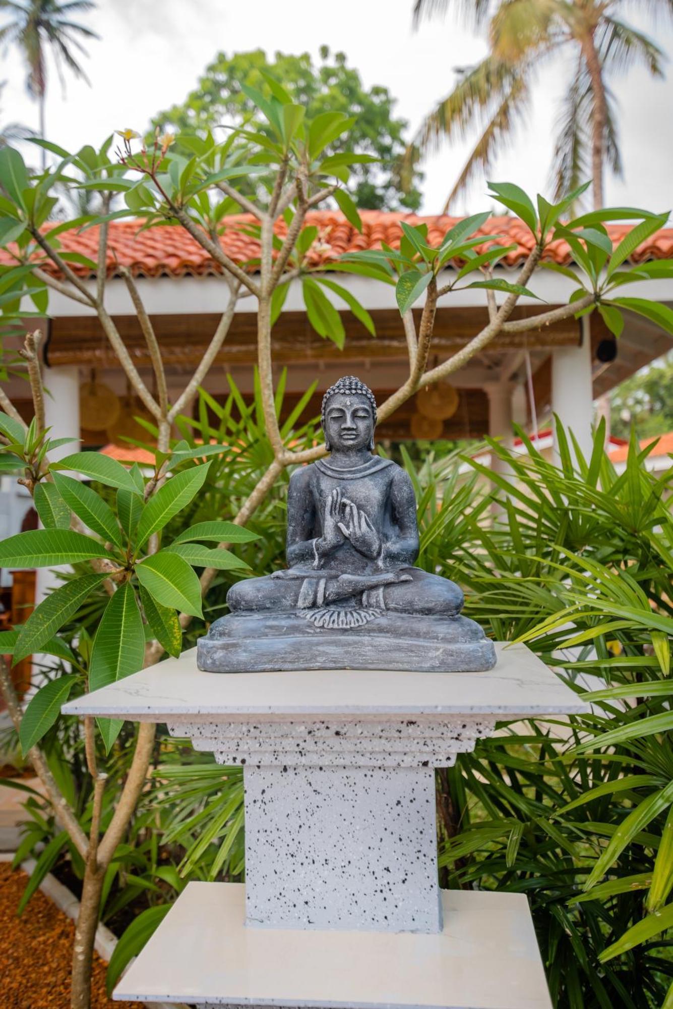 Tree Of Life Resort Bentota Exteriör bild